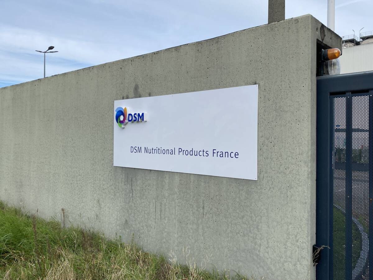 Remise &agrave; neuf d’enseigne &agrave; Village-Neuf Saint-Di&eacute;-des-Vosges